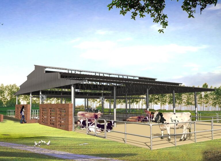 One Health: A Broader Vision for Global Health